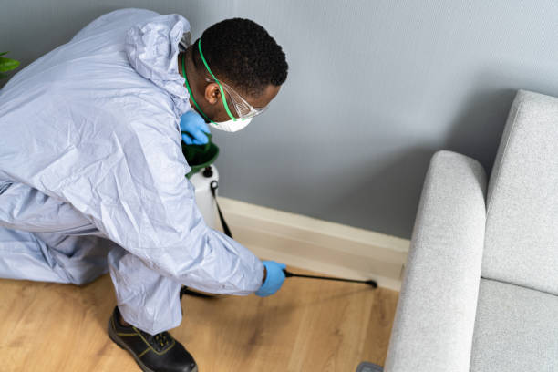 Real Estate Pest Inspections in Wilton, IA